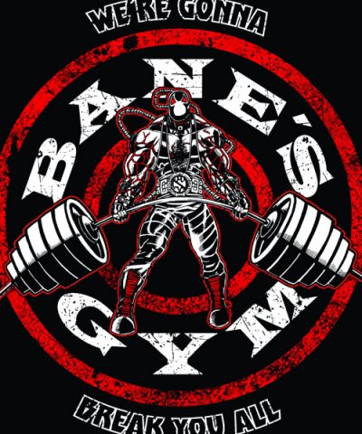 Alternative view of BANE´S GYM